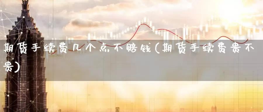 期货手续费几个点不赔钱(期货手续费贵不贵)_https://www.baokan.net_期货培训_第1张