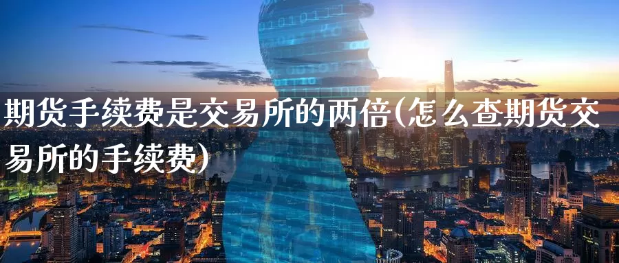 期货手续费是交易所的两倍(怎么查期货交易所的手续费)_https://www.baokan.net_期货分析_第1张