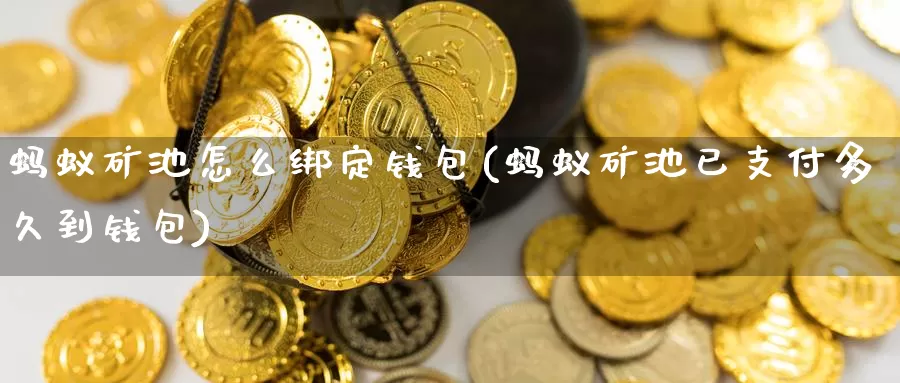 蚂蚁矿池怎么绑定钱包(蚂蚁矿池已支付多久到钱包)_https://www.baokan.net_币圈行情_第1张