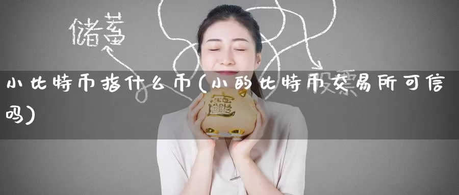 小比特币指什么币(小的比特币交易所可信吗)_https://www.baokan.net_币圈行情_第1张