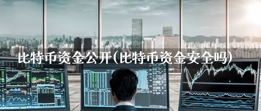 比特币资金公开(比特币资金安全吗)_https://www.baokan.net_币圈行情_第1张