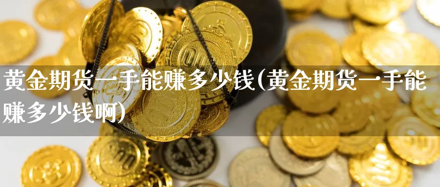 黄金期货一手能赚多少钱(黄金期货一手能赚多少钱啊)_https://www.baokan.net_期货品种_第1张