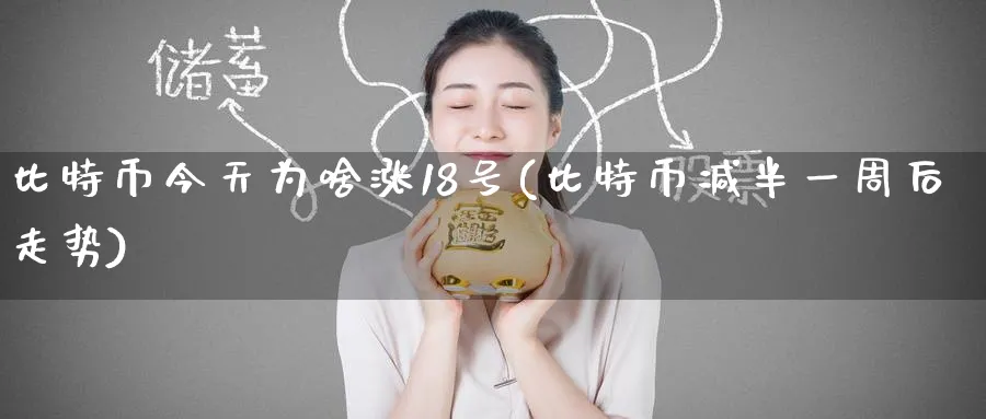 比特币今天为啥涨18号(比特币减半一周后走势)_https://www.baokan.net_期货交易_第1张