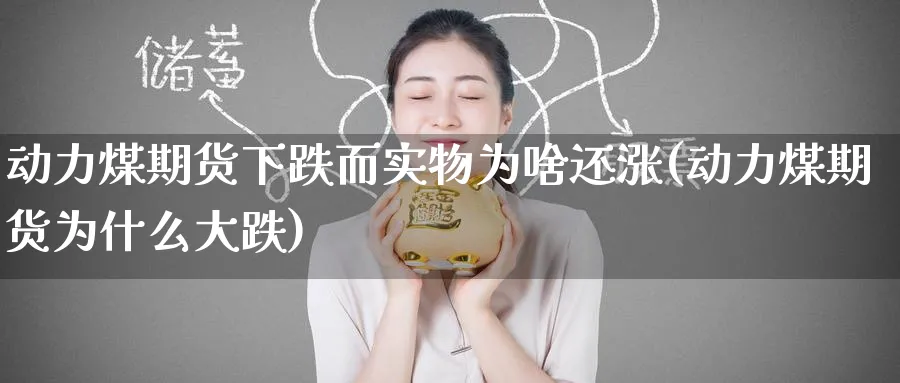 动力煤期货下跌而实物为啥还涨(动力煤期货为什么大跌)_https://www.baokan.net_内盘期货_第1张
