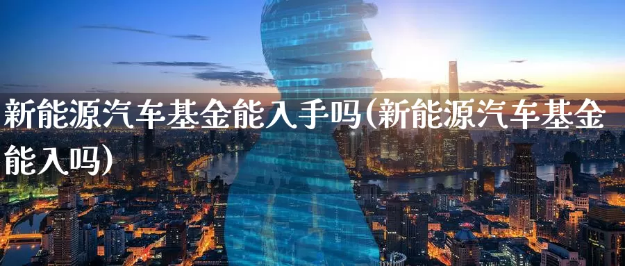 新能源汽车基金能入手吗(新能源汽车基金能入吗)_https://www.baokan.net_期货百科_第1张