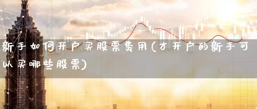 新手如何开户买股票费用(才开户的新手可以买哪些股票)_内盘期货_第1张_宝勘金融网 新手如何开户买股票费用(才开户的新手可以买哪些股票)_https://www.baokan.net_内盘期货_第1张