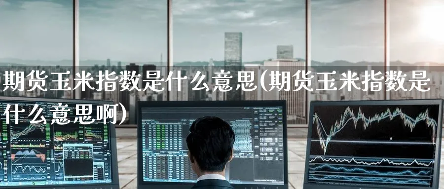 期货玉米指数是什么意思(期货玉米指数是什么意思啊)_https://www.baokan.net_恒指期货_第1张