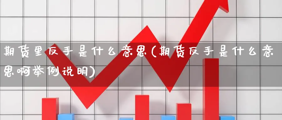 期货里反手是什么意思(期货反手是什么意思啊举例说明)_https://www.baokan.net_股指期货_第1张