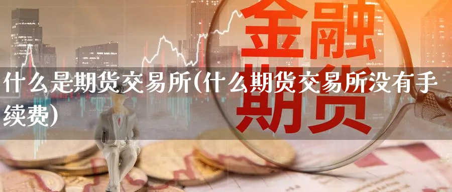 什么是期货交易所(什么期货交易所没有手续费)_https://www.baokan.net_期货软件_第1张