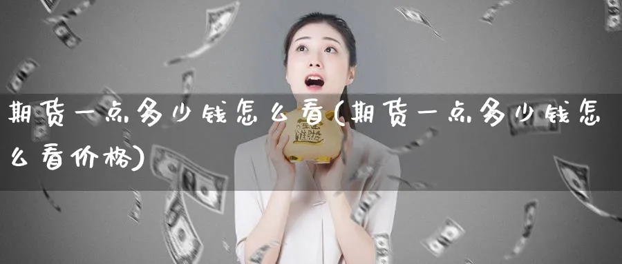 期货一点多少钱怎么看(期货一点多少钱怎么看价格)_https://www.baokan.net_期货交易_第1张