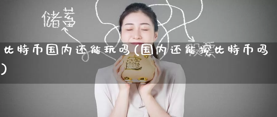 比特币国内还能玩吗(国内还能挖比特币吗)_https://www.baokan.net_币圈行情_第1张