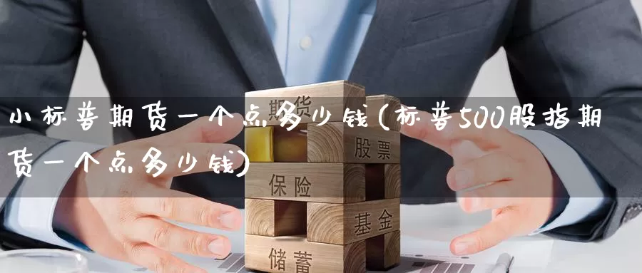小标普期货一个点多少钱(标普500股指期货一个点多少钱)_https://www.baokan.net_期货交易_第1张