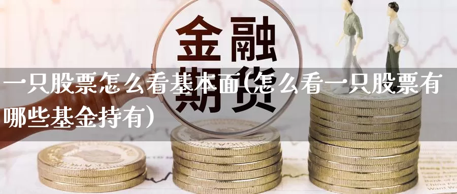一只股票怎么看基本面(怎么看一只股票有哪些基金持有)_https://www.baokan.net_期货百科_第1张