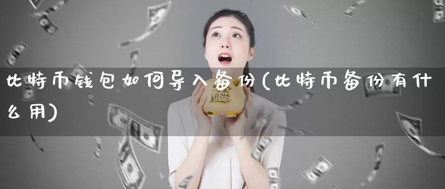 比特币钱包如何导入备份(比特币备份有什么用)_https://www.baokan.net_币圈行情_第1张