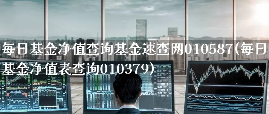 每日基金净值查询基金速查网010587(每日基金净值表查询010379)_https://www.baokan.net_期货开户_第1张