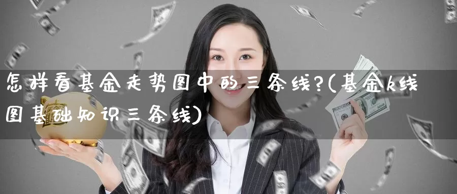 怎样看基金走势图中的三条线?(基金k线图基础知识三条线)_期货软件_第1张_宝勘金融网 怎样看基金走势图中的三条线?(基金k线图基础知识三条线)_https://www.baokan.net_期货软件_第1张