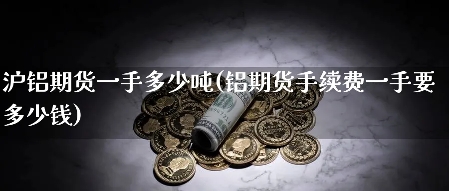 沪铝期货一手多少吨(铝期货手续费一手要多少钱)_https://www.baokan.net_期货分析_第1张