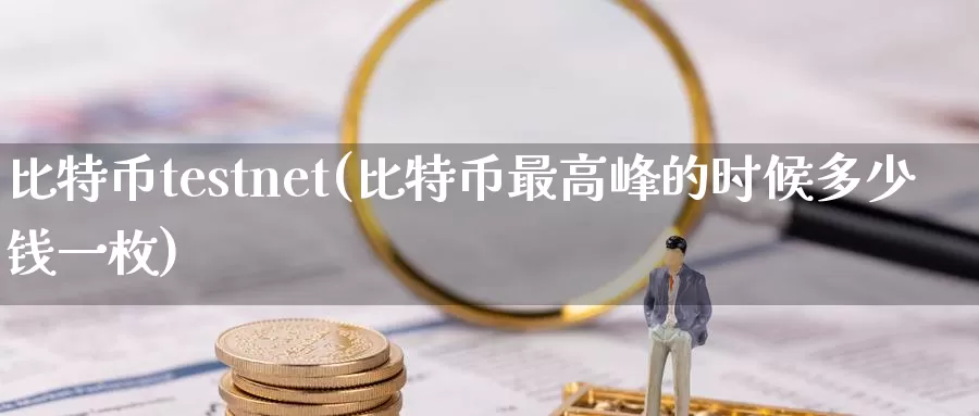 比特币testnet(比特币最高峰的时候多少钱一枚)_https://www.baokan.net_币圈行情_第1张