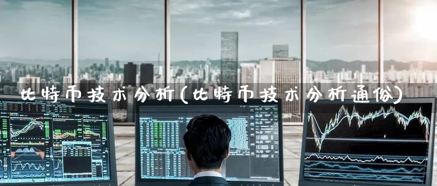 比特币技术分析(比特币技术分析通俗)_https://www.baokan.net_币圈行情_第1张