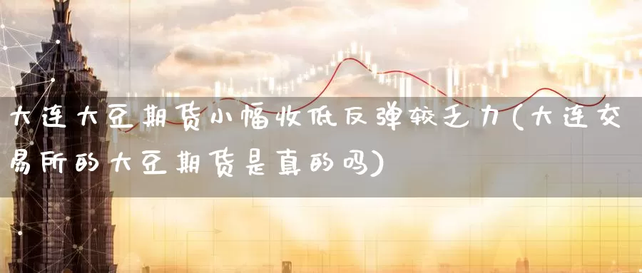 大连大豆期货小幅收低反弹较乏力(大连交易所的大豆期货是真的吗)_https://www.baokan.net_纳指期货_第1张
