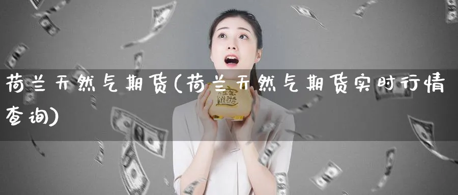 荷兰天然气期货(荷兰天然气期货实时行情查询)_https://www.baokan.net_国际期货_第1张