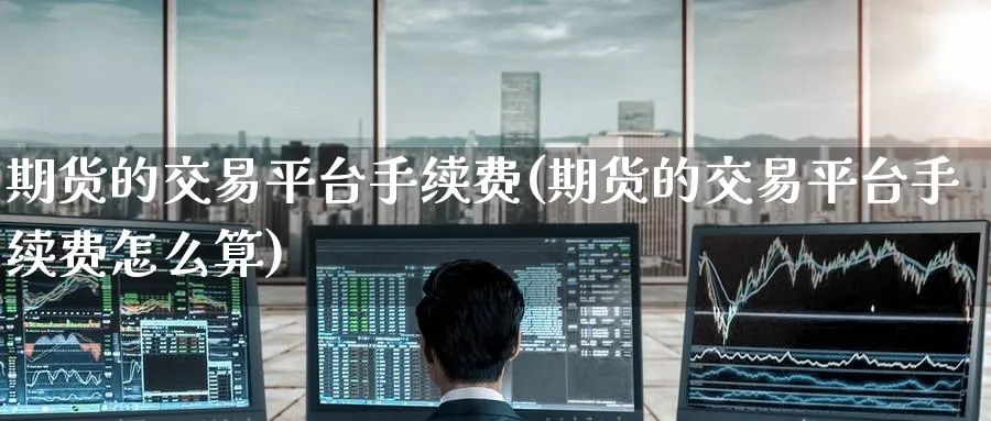 期货的交易平台手续费(期货的交易平台手续费怎么算)_https://www.baokan.net_纳指期货_第1张