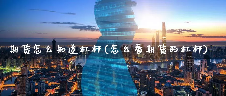 期货怎么知道杠杆(怎么看期货的杠杆)_https://www.baokan.net_期货百科_第1张