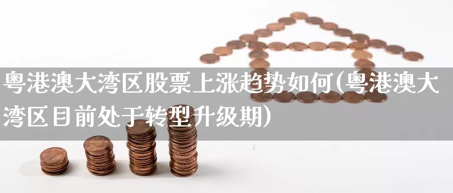 粤港澳大湾区股票上涨趋势如何(粤港澳大湾区目前处于转型升级期)_https://www.baokan.net_恒指期货_第1张