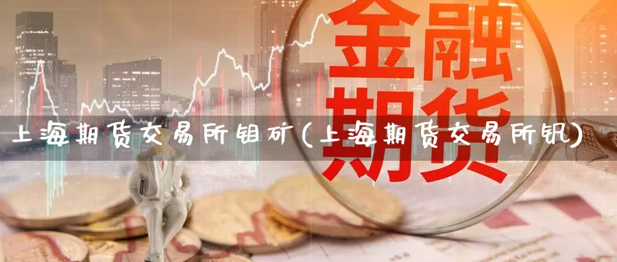 上海期货交易所钼矿(上海期货交易所钒)_https://www.baokan.net_恒生指数_第1张
