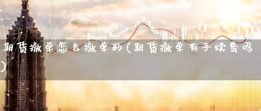 期货撤单怎么撤单的(期货撤单有手续费吗)_https://www.baokan.net_期货开户_第1张