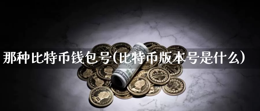 那种比特币钱包号(比特币版本号是什么)_https://www.baokan.net_币圈行情_第1张