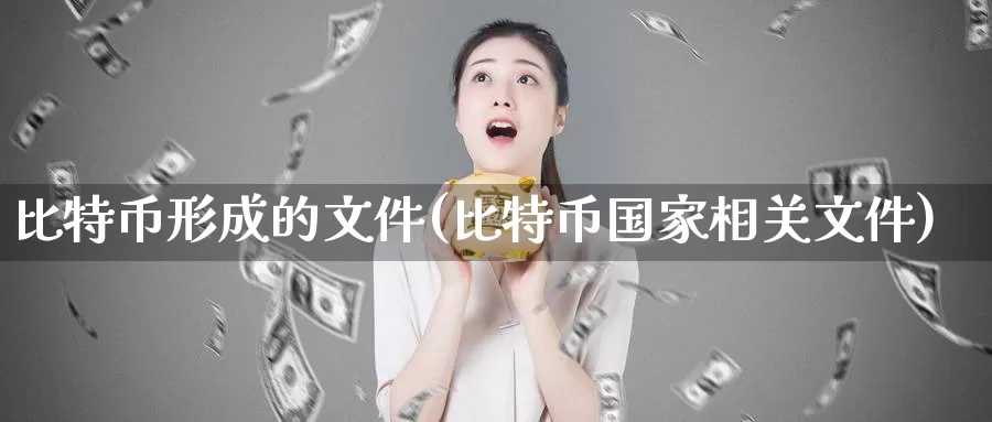 比特币形成的文件(比特币国家相关文件)_https://www.baokan.net_币圈行情_第1张