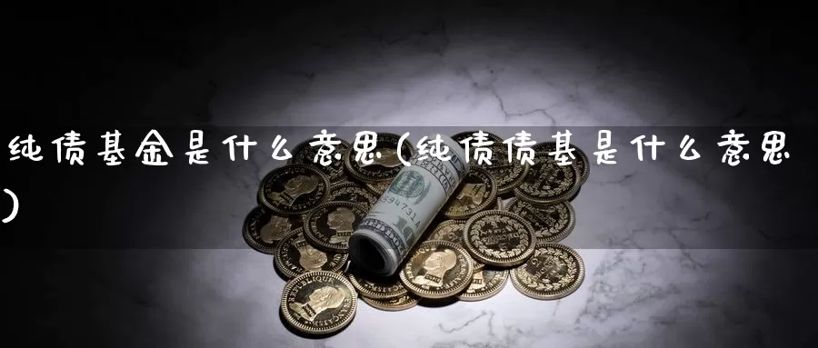 纯债基金是什么意思(纯债债基是什么意思)_币圈行情_第1张_宝勘金融网 纯债基金是什么意思(纯债债基是什么意思)_https://www.baokan.net_币圈行情_第1张