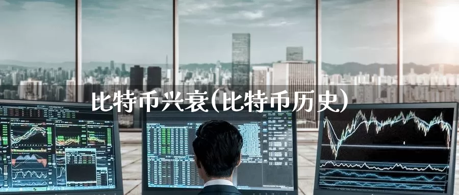 比特币兴衰(比特币历史)_https://www.baokan.net_币圈行情_第1张