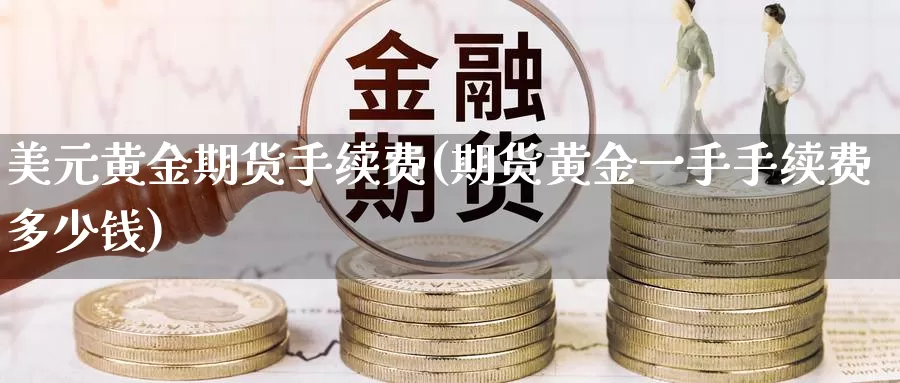 美元黄金期货手续费(期货黄金一手手续费多少钱)_https://www.baokan.net_期货行情_第1张