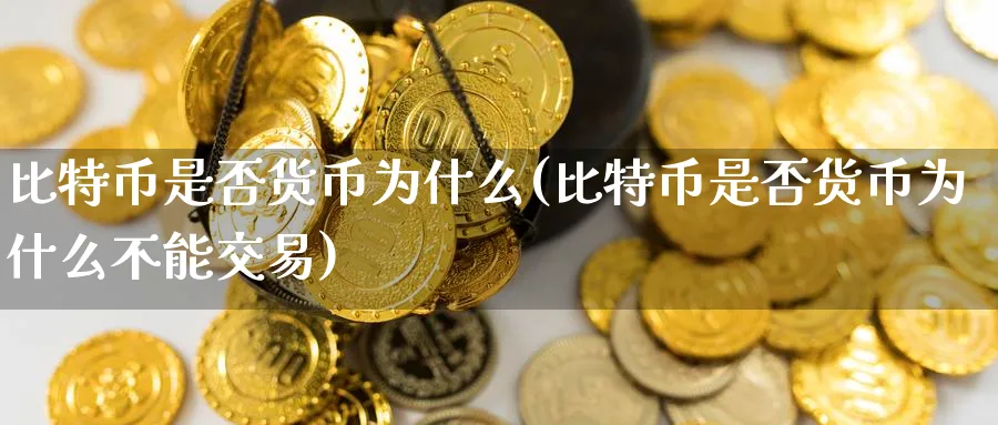 比特币是否货币为什么(比特币是否货币为什么不能交易)_https://www.baokan.net_币圈行情_第1张
