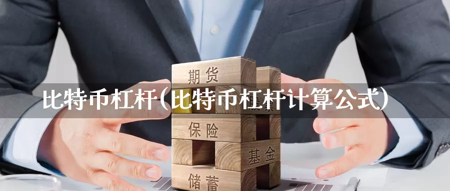 比特币杠杆(比特币杠杆计算公式)_https://www.baokan.net_币圈行情_第1张