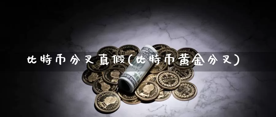 比特币分叉真假(比特币黄金分叉)_https://www.baokan.net_币圈行情_第1张