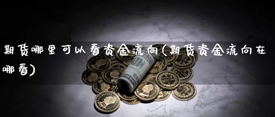 期货哪里可以看资金流向(期货资金流向在哪看)_期货交易_第1张_宝勘金融网 期货哪里可以看资金流向(期货资金流向在哪看)_https://www.baokan.net_期货交易_第1张