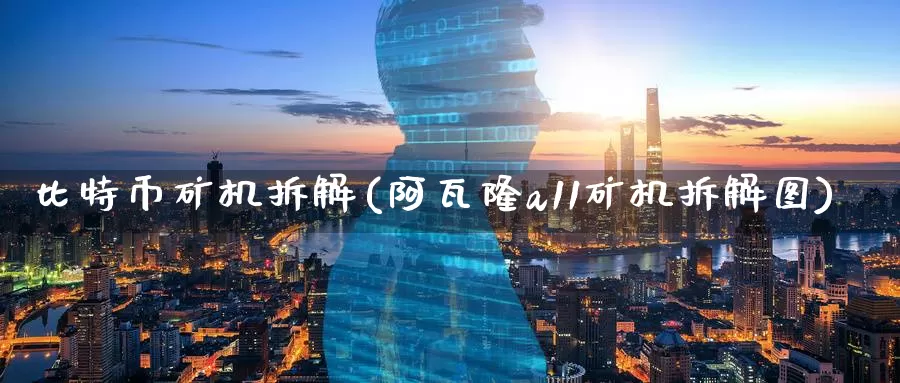 比特币矿机拆解(阿瓦隆a11矿机拆解图)_https://www.baokan.net_币圈行情_第1张