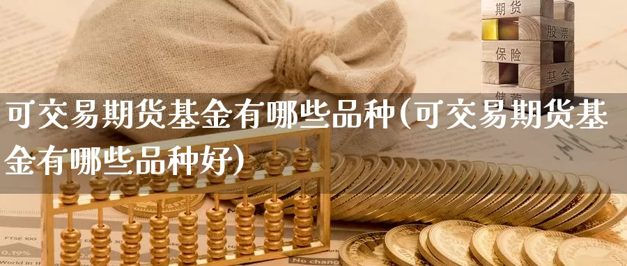 可交易期货基金有哪些品种(可交易期货基金有哪些品种好)_https://www.baokan.net_原油期货_第1张