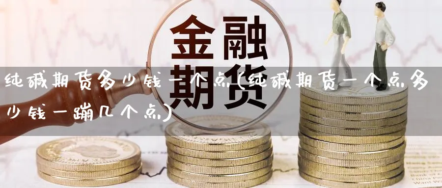 纯碱期货多少钱一个点(纯碱期货一个点多少钱一蹦几个点)_https://www.baokan.net_期货品种_第1张