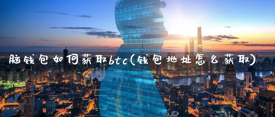 脑钱包如何获取btc(钱包地址怎么获取)_https://www.baokan.net_币圈行情_第1张