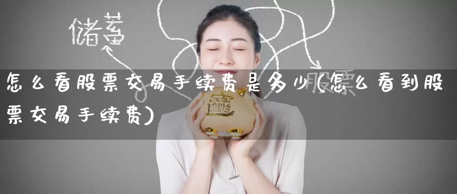 怎么看股票交易手续费是多少(怎么看到股票交易手续费)_https://www.baokan.net_期货平台_第1张