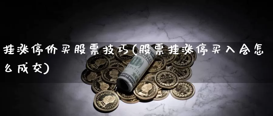 挂涨停价买股票技巧(股票挂涨停买入会怎么成交)_https://www.baokan.net_期货百科_第1张