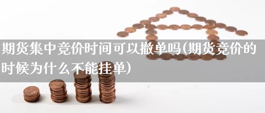 期货集中竞价时间可以撤单吗(期货竞价的时候为什么不能挂单)_https://www.baokan.net_期货软件_第1张