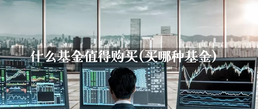 什么基金值得购买(买哪种基金)_内盘期货_第1张_宝勘金融网 什么基金值得购买(买哪种基金)_https://www.baokan.net_内盘期货_第1张