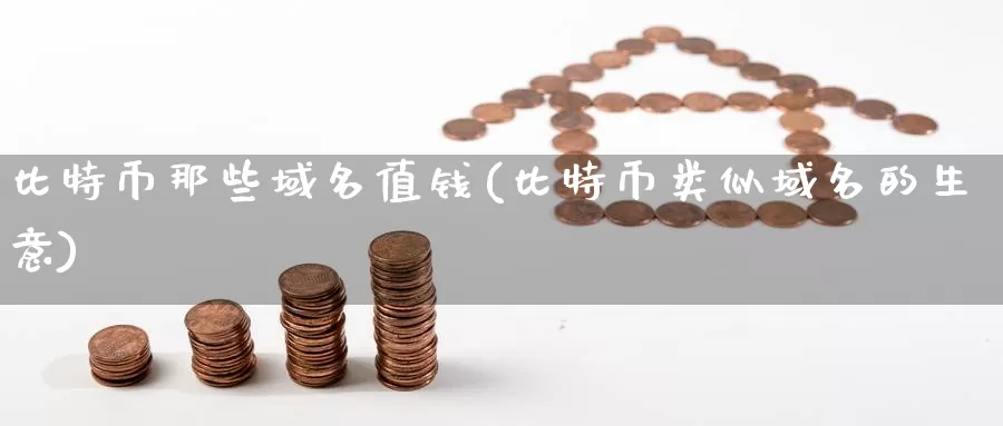 比特币那些域名值钱(比特币类似域名的生意)_https://www.baokan.net_币圈行情_第1张