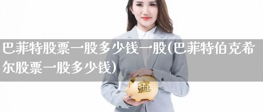 巴菲特股票一股多少钱一股(巴菲特伯克希尔股票一股多少钱)_https://www.baokan.net_期货百科_第1张