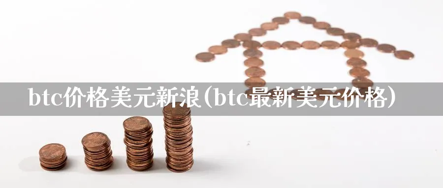 btc价格美元新浪(btc最新美元价格)_https://www.baokan.net_期货平台_第1张